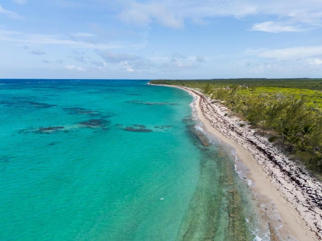 Cat Island, Cat Island