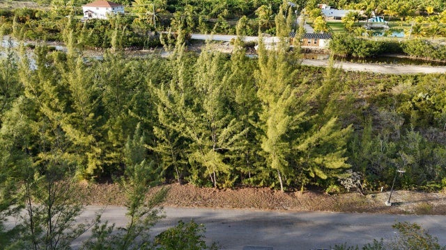 South Seas Estates, New Providence/Paradise Island