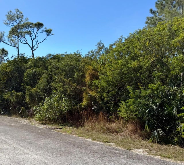 Dundas Town Lot, Abaco