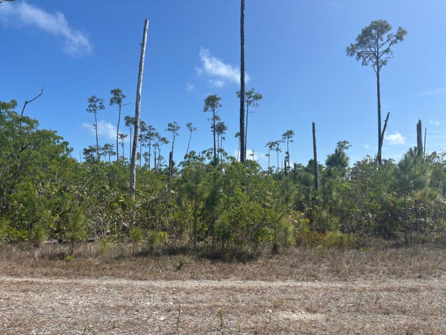 7 Ranger Rd, Grand Bahama/Freeport