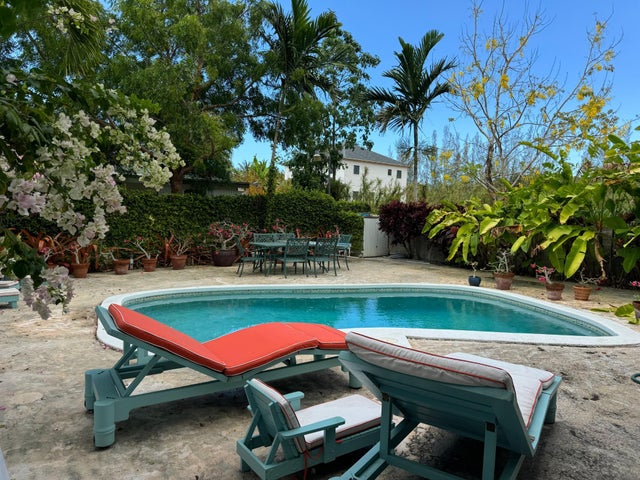 Desert Rose, Old Fort Bay 4, New Providence/Paradise Island