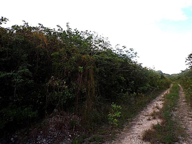 Plot# 20 O'neil's, Long Island