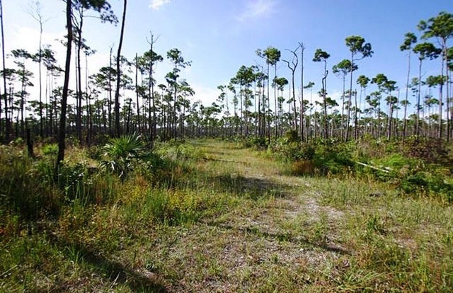 Lucaya Estates, Grand Bahama/Freeport