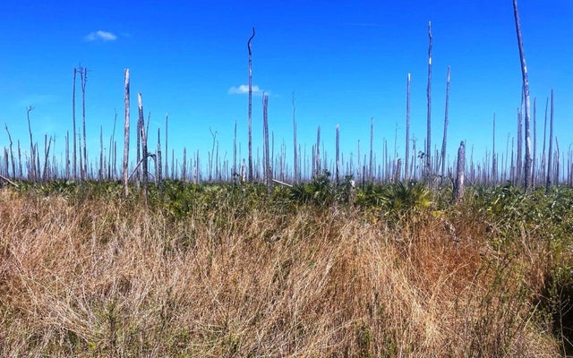 Lot 17 Lucaya Estates 15, Grand Bahama/Freeport