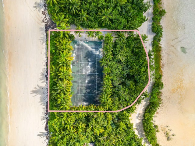 Little Bird Lot, Andros