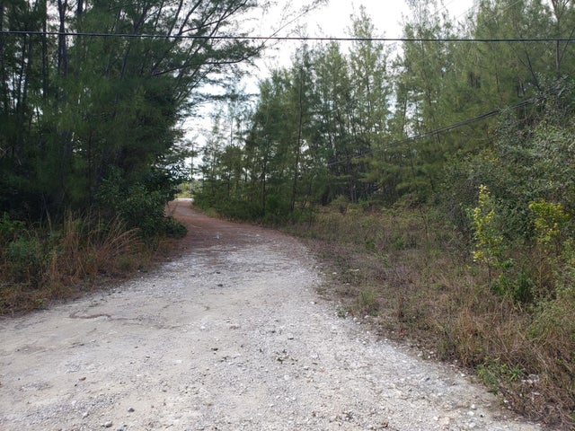 Casuarina Point, Abaco