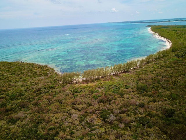 Tarpum Bay, Eleuthera