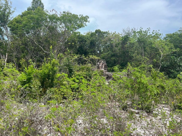 Samuel Knowles Estates Lo, Long Island