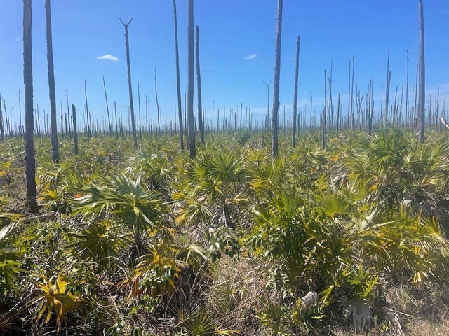 Lucaya Estates Lot, Grand Bahama/Freeport