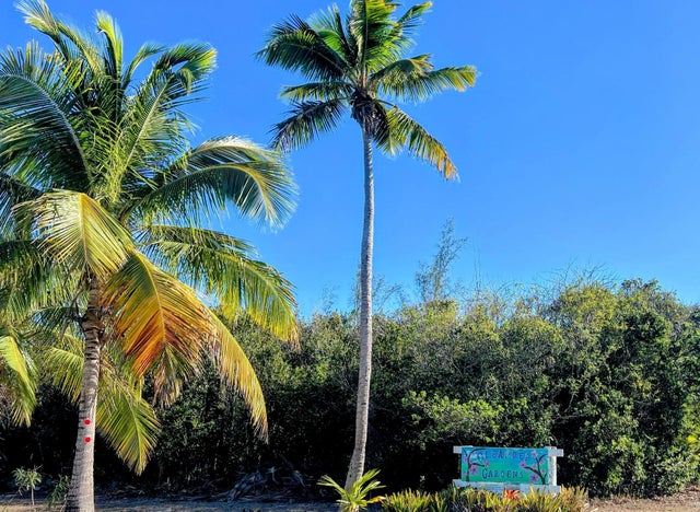 Oleander Drive, Eleuthera