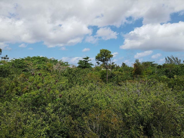 Lot 2, San Salvador, San Salvador