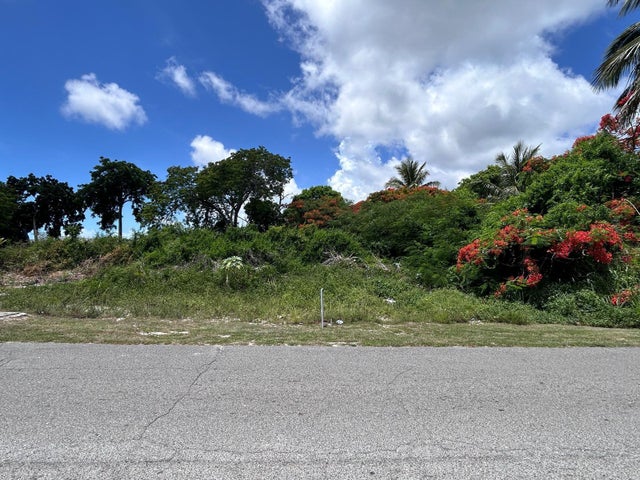 Lot #269, Tulip Drive, New Providence/Paradise Island