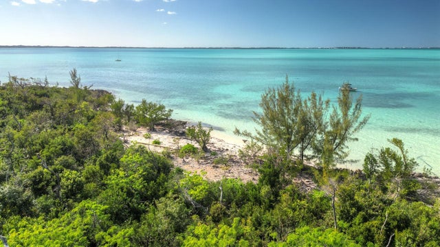 Lot M6, Jacks Jungle, Abaco