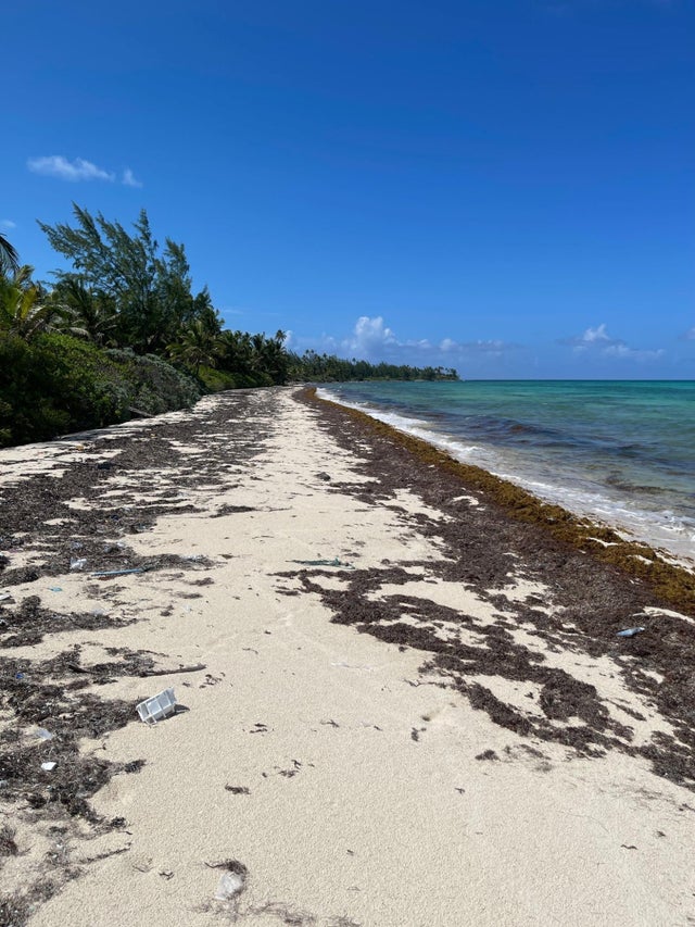 77a Driggs Hill, Andros