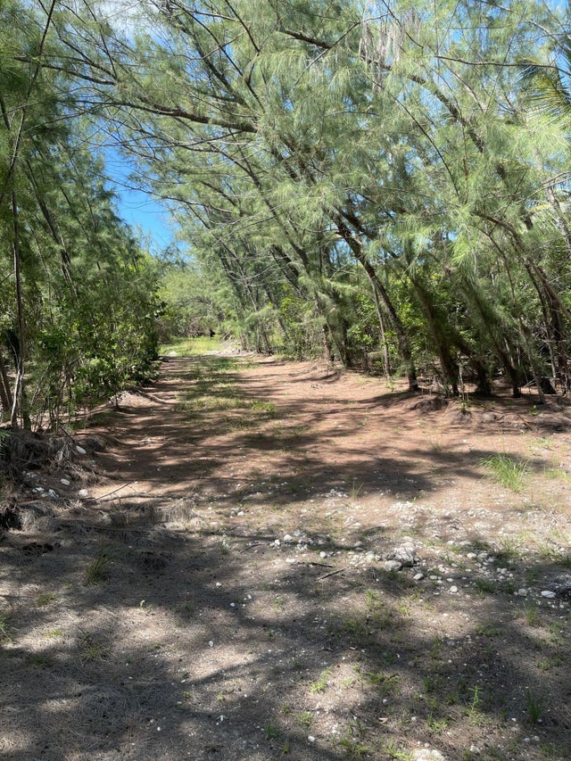 77l Driggs Hill, Andros