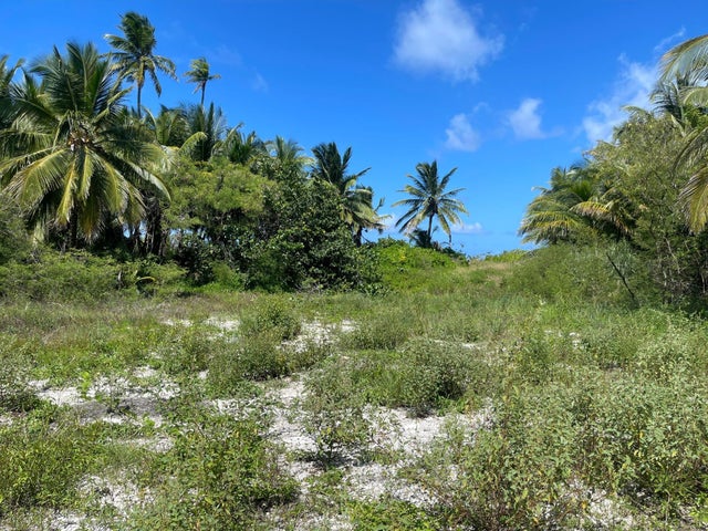 77f Driggs Hill, Andros