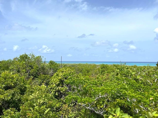 Columbus Landings, San Salvador