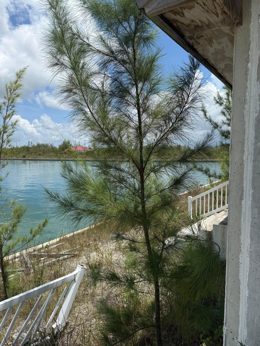 Fringe Close, Surey, Fpo, Grand Bahama/Freeport