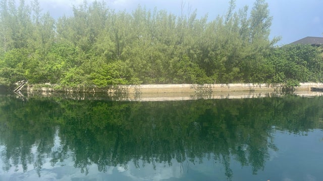 Silver Sands Court, Freep, Grand Bahama/Freeport