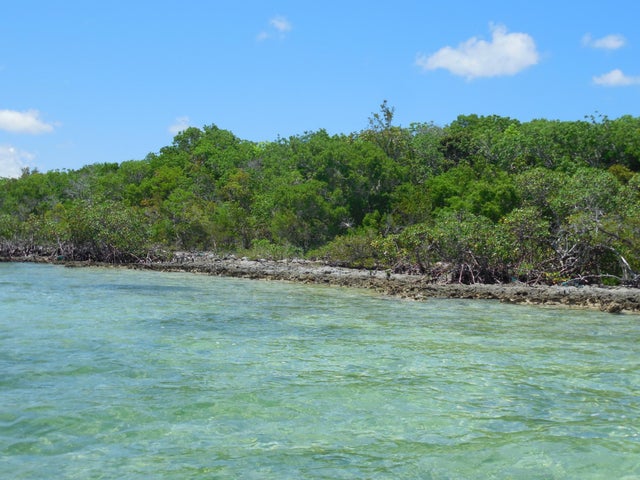 Near Casuarina Point, Abaco