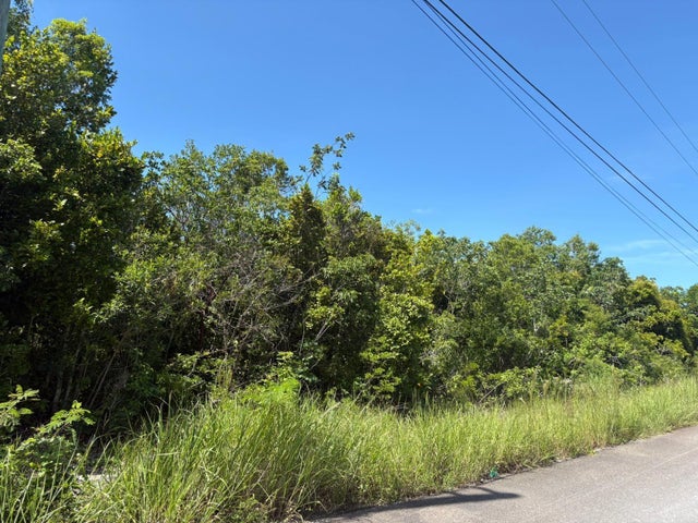 Off Adelaide Beach Road, New Providence/Paradise Island