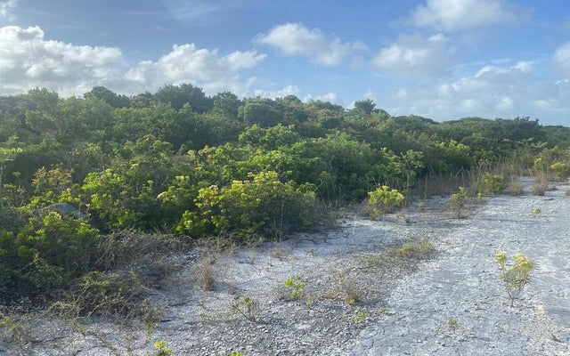 Columbus Landing 1, San Salvador