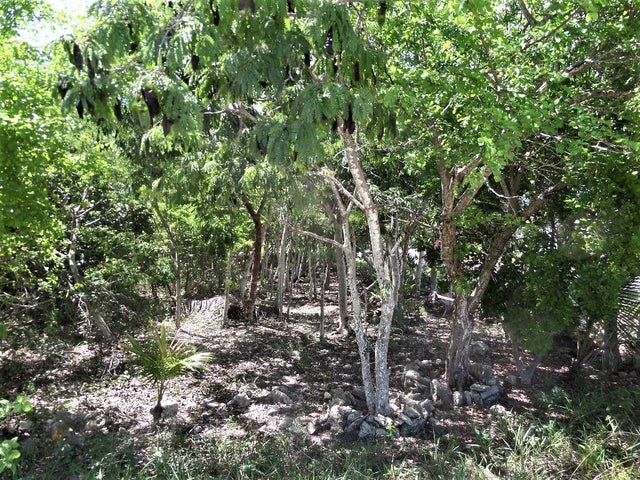 Hamilton's Lot, Long Island