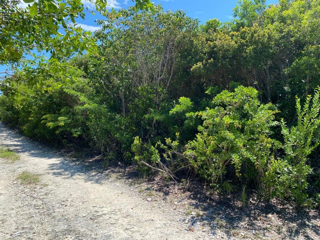 Eleuthera Island Shores, Eleuthera