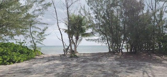 Mangrove Cay, Andros