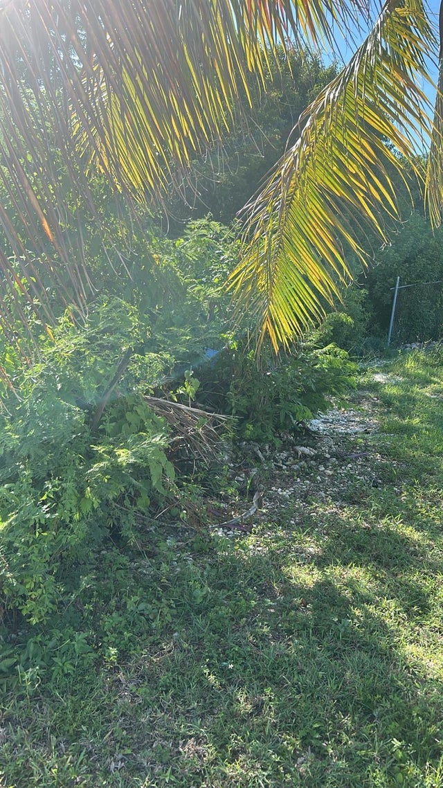 16 Hampshire Street, Grand Bahama/Freeport