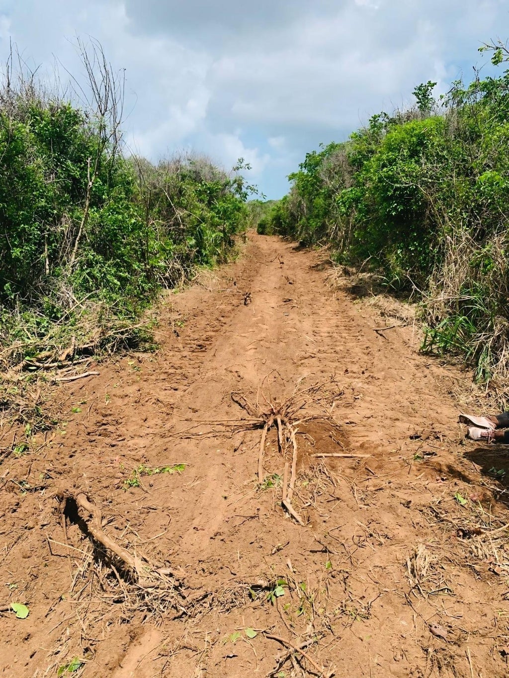 Lot B - Queen's Highway, Eleuthera