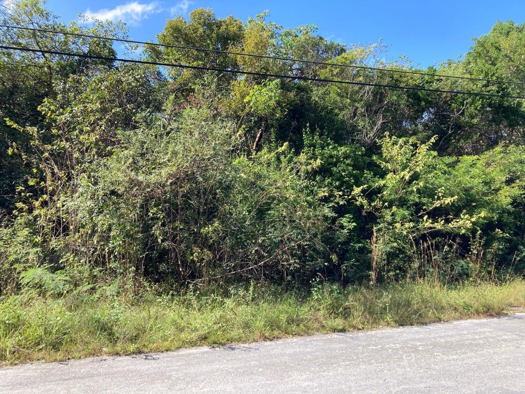 Deep Creek West, Andros