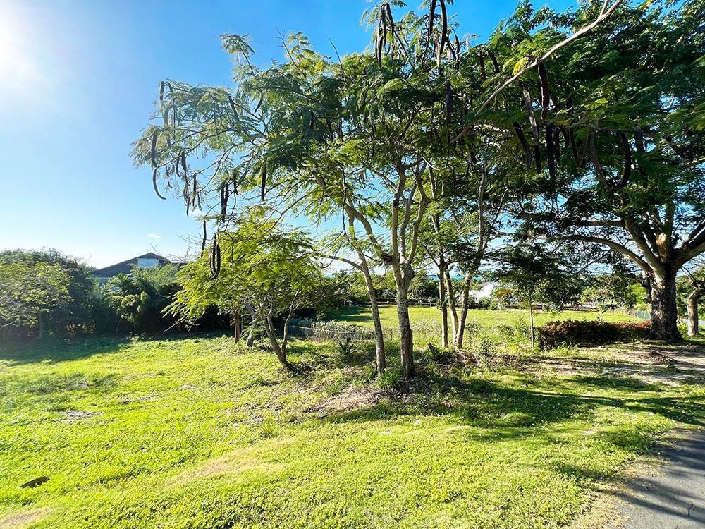 Lots 5 + 6 Brighton Place, New Providence/Paradise Island