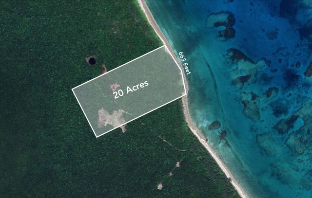 Nicholls Town, Andros