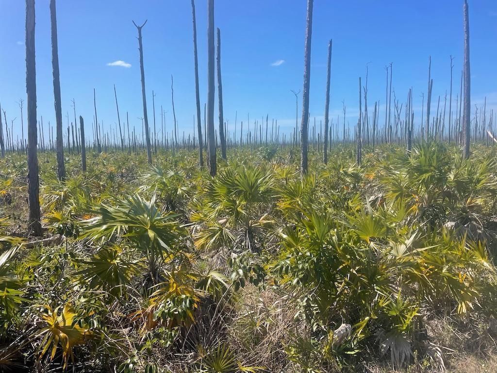 Lot 25, Lucaya Estates, Grand Bahama/Freeport