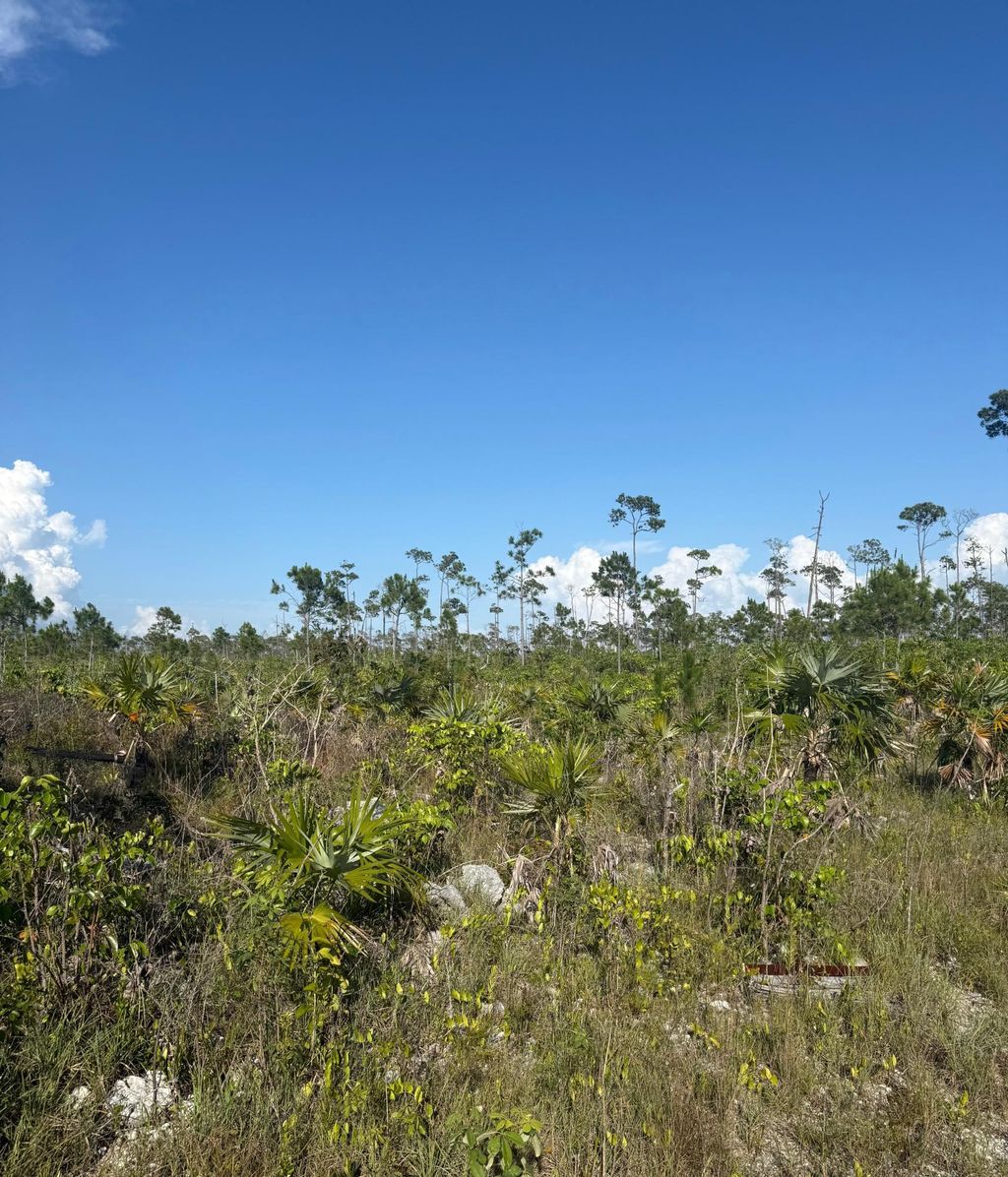 Capstan Drive, Chesapeake, Grand Bahama/Freeport
