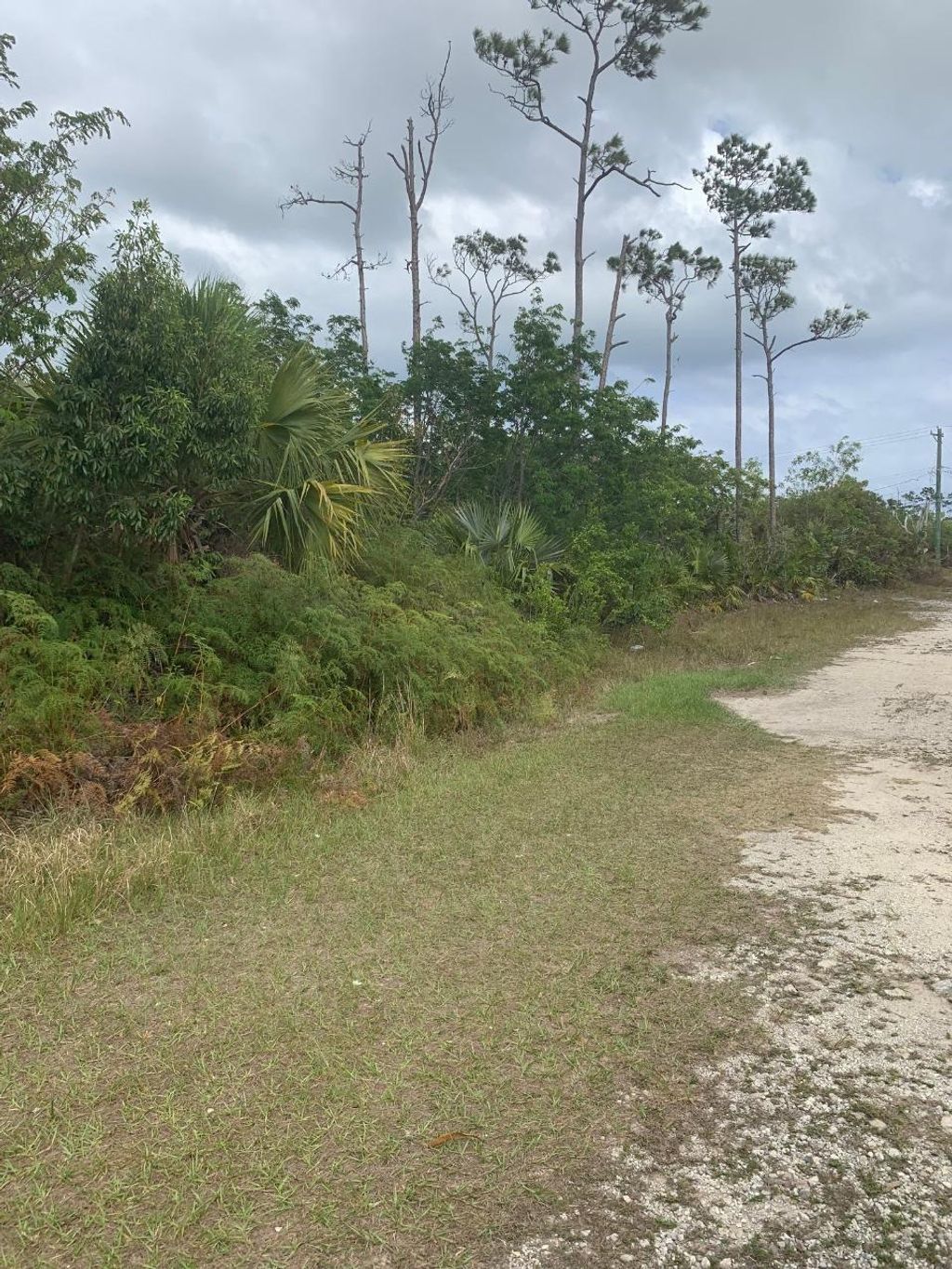 Block 49 22 Mallard St/ Spoonbill Unit 2, Grand Bahama/Freeport