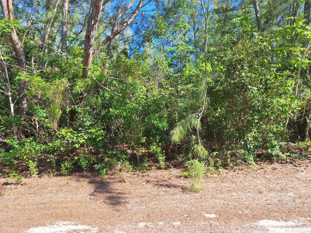 Lot 3 Bahama Palm Shores, Abaco