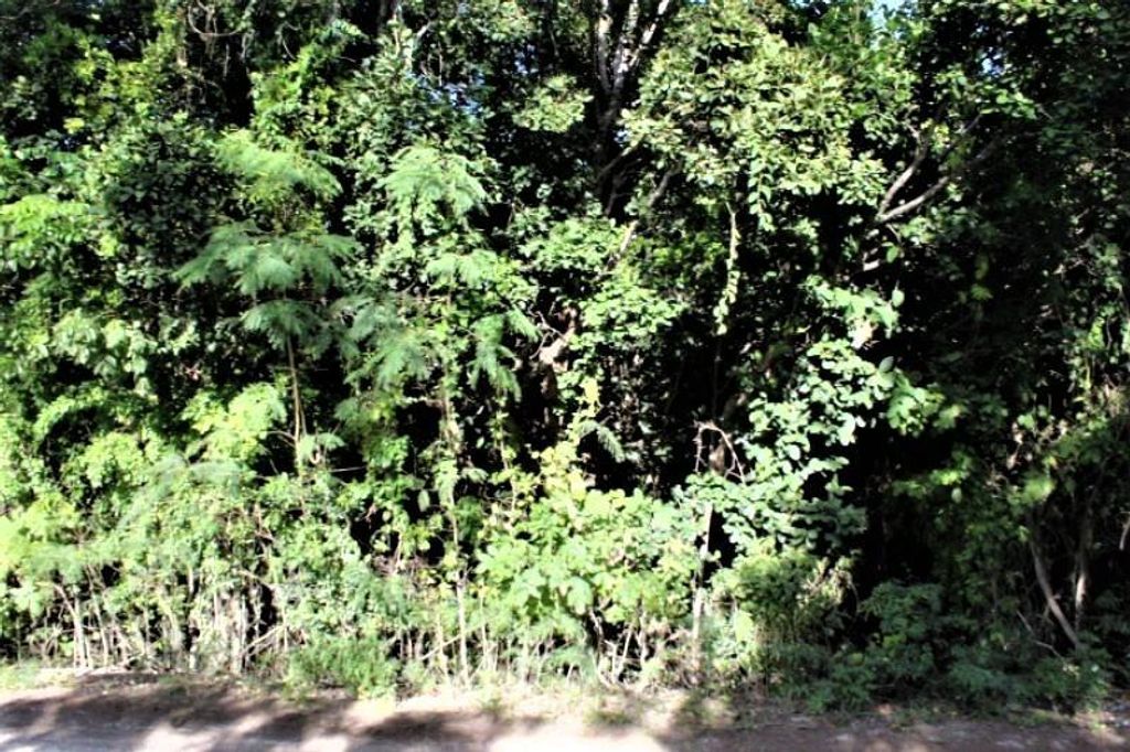 Lot# 552 Stella Maris, Long Island