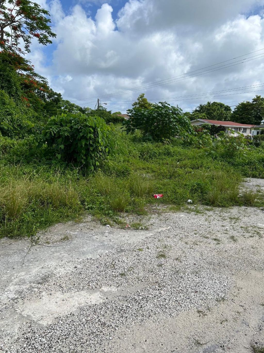 Lot 30 Davis Street And Hawthorn Block 1, New Providence/Paradise Island