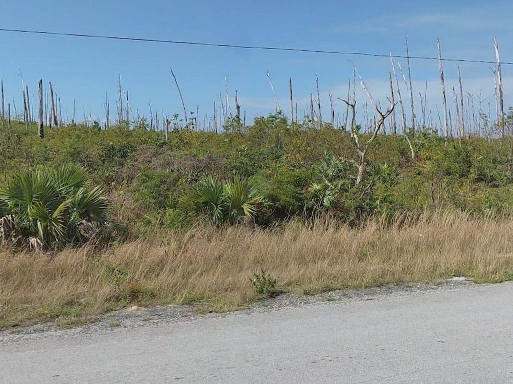 Blackwood, North Abaco, Abaco