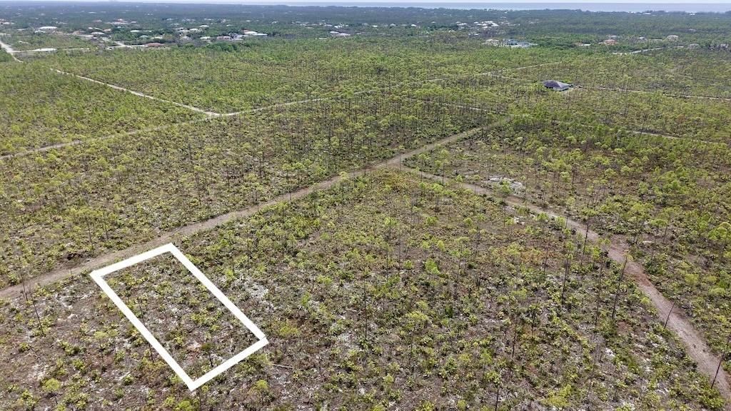 Lincoln Park, Lot 11, Grand Bahama/Freeport