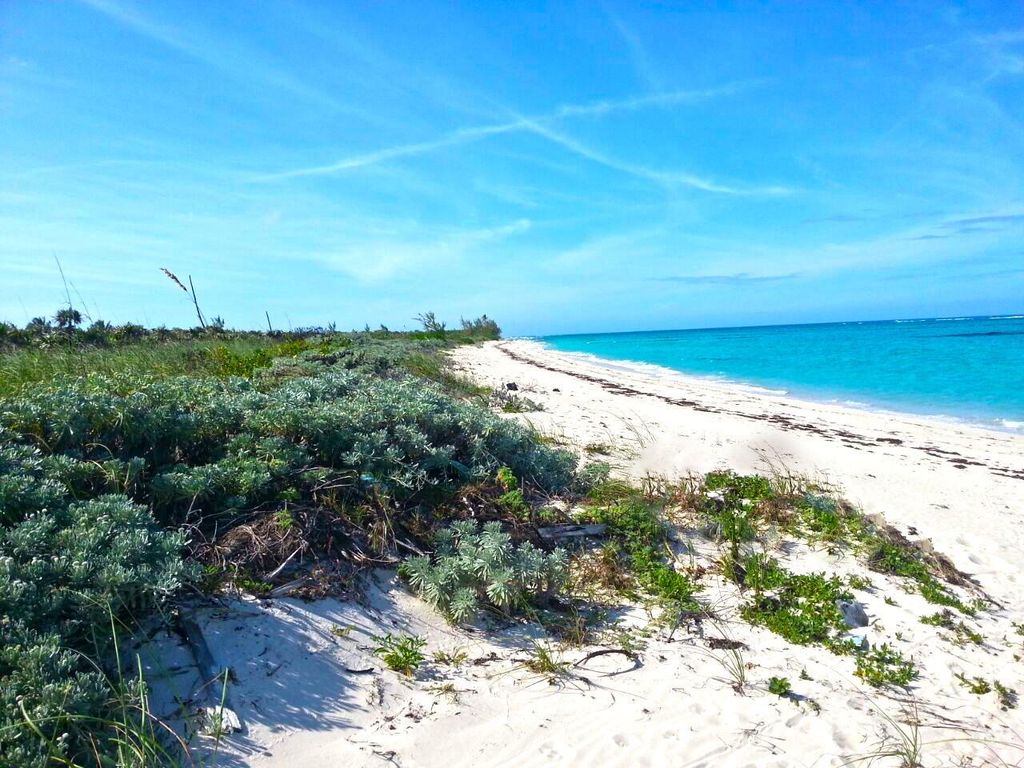 Camperdown Beach E79a, Cat Island