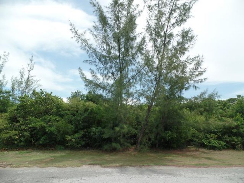 Marshall Road, New Providence/Paradise Island