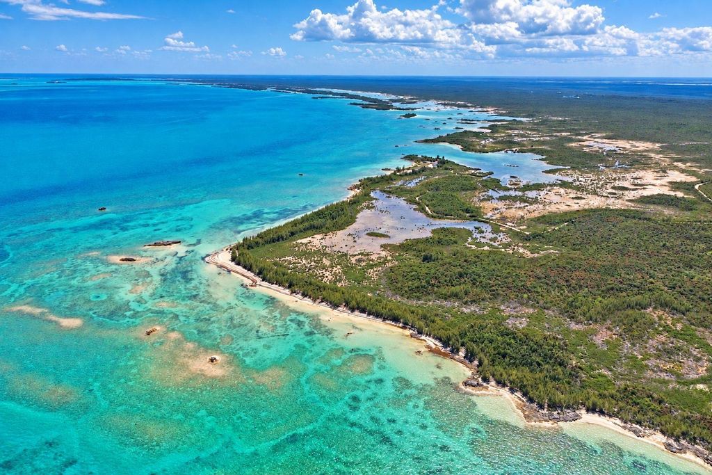 The Abaco 37, Abaco