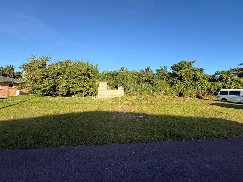 Lot #11 Pine Tree Road, New Providence/Paradise Island