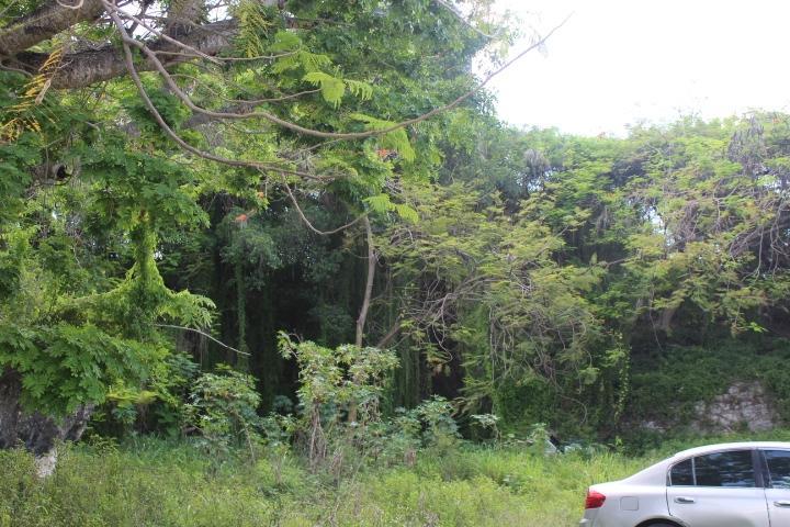 Minns Town Fort Fincastle, New Providence/Paradise Island