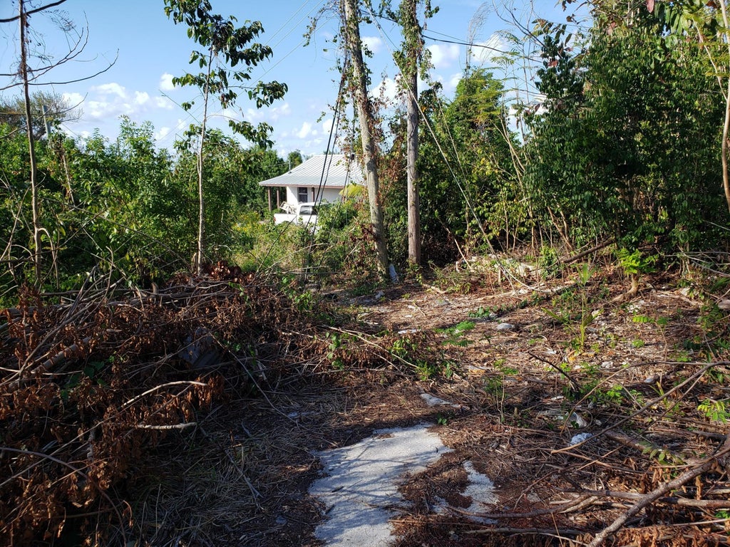 Don Mckay Blvd., Abaco