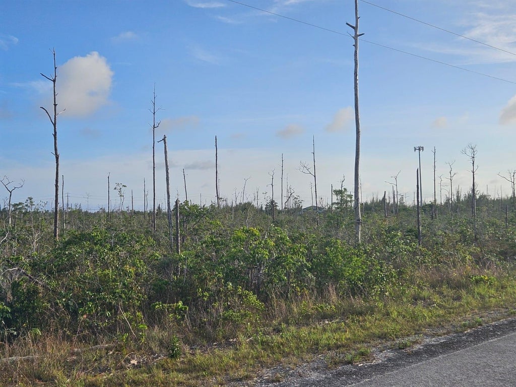 6 Heybridge Drive 1, Grand Bahama/Freeport