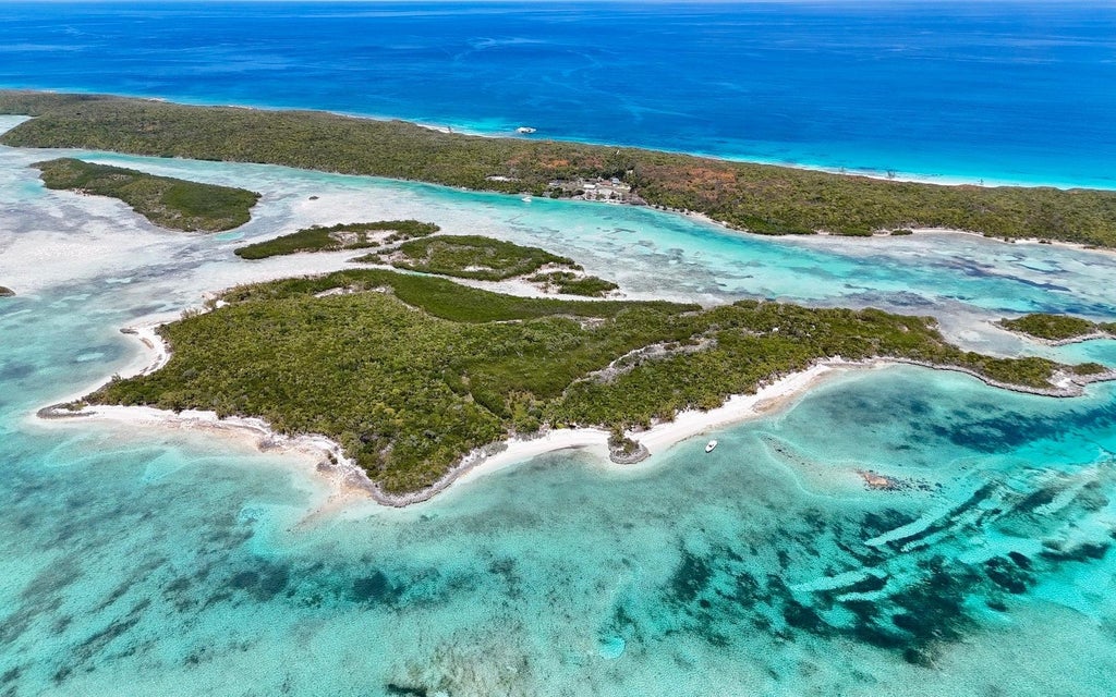 Sand Dollar Cay, Berry Islands